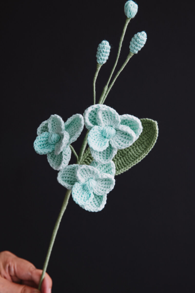 Crochet Mini Phalaenopsis Orchid-hookok Crochet Mini Phalaenopsis Orchid-hookok