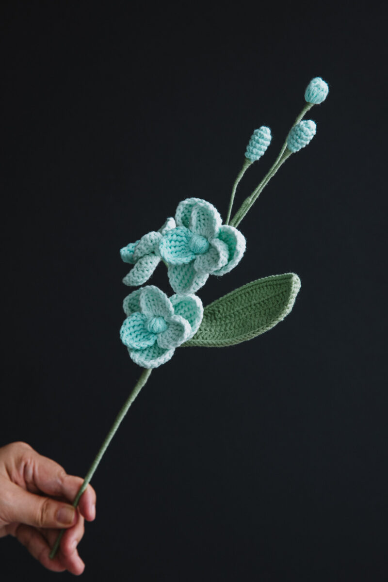 Crochet Mini Phalaenopsis Orchid-hookok Crochet Mini Phalaenopsis Orchid-hookok