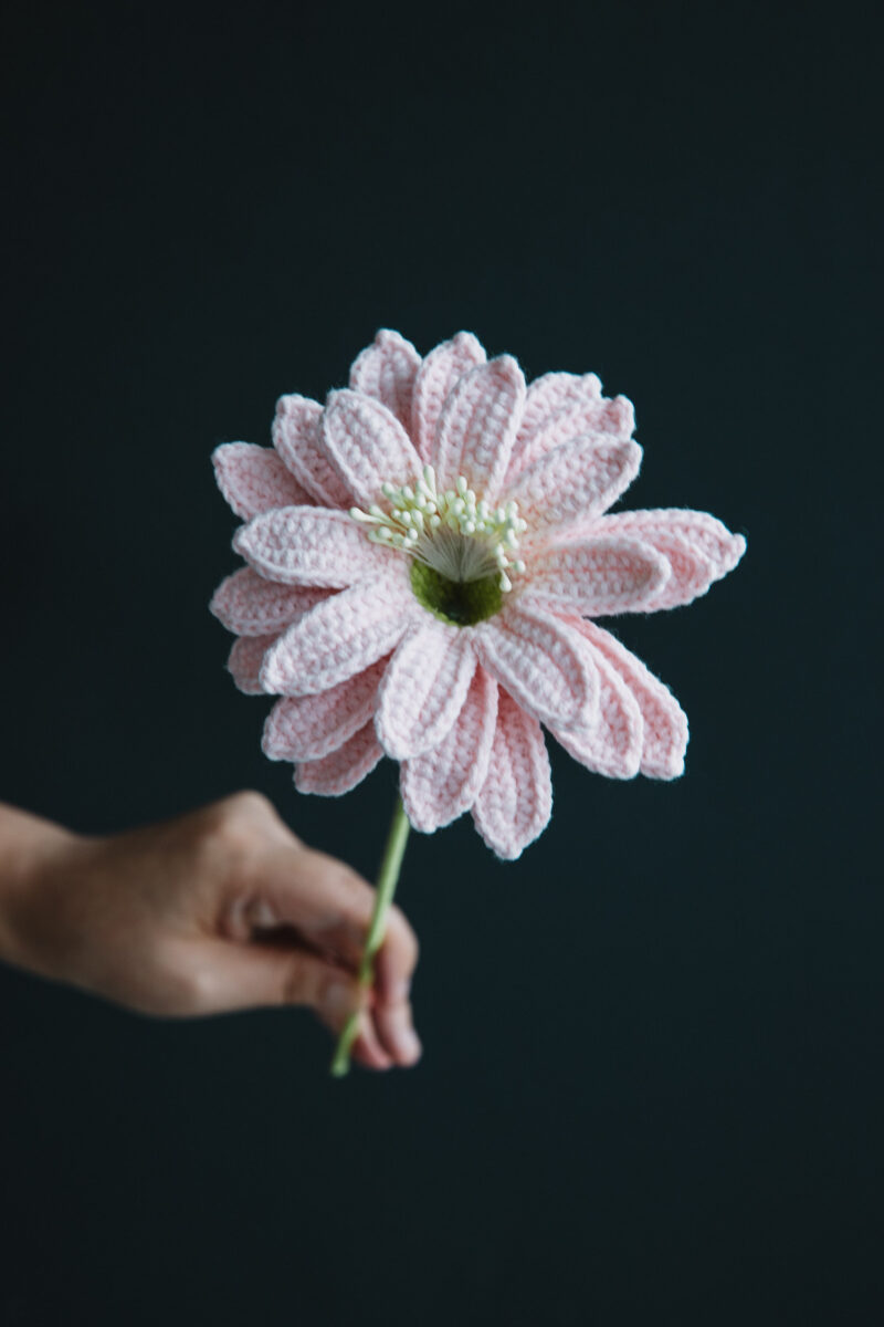 Crochet Cactus Flower-HOOKOK Crochet Cactus Flower-HOOKOK