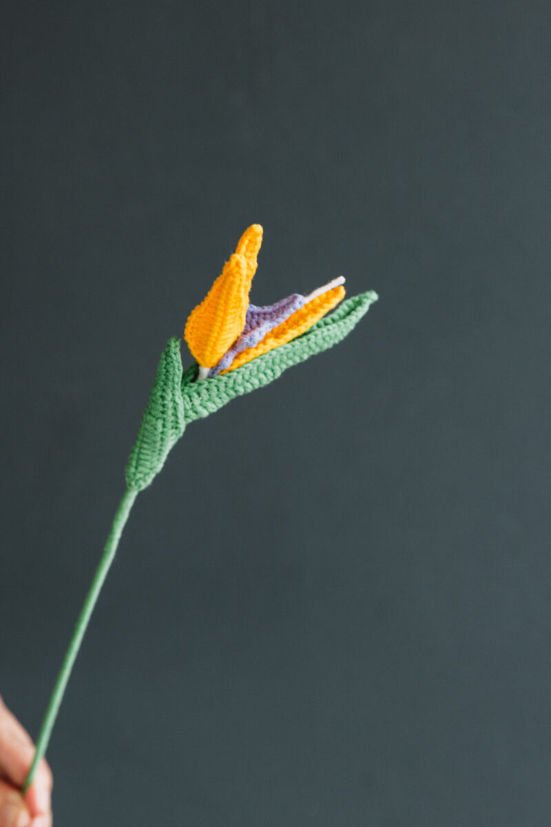 Crochet Bird of Paradise-HOOKOK Crochet Bird of Paradise-HOOKOK