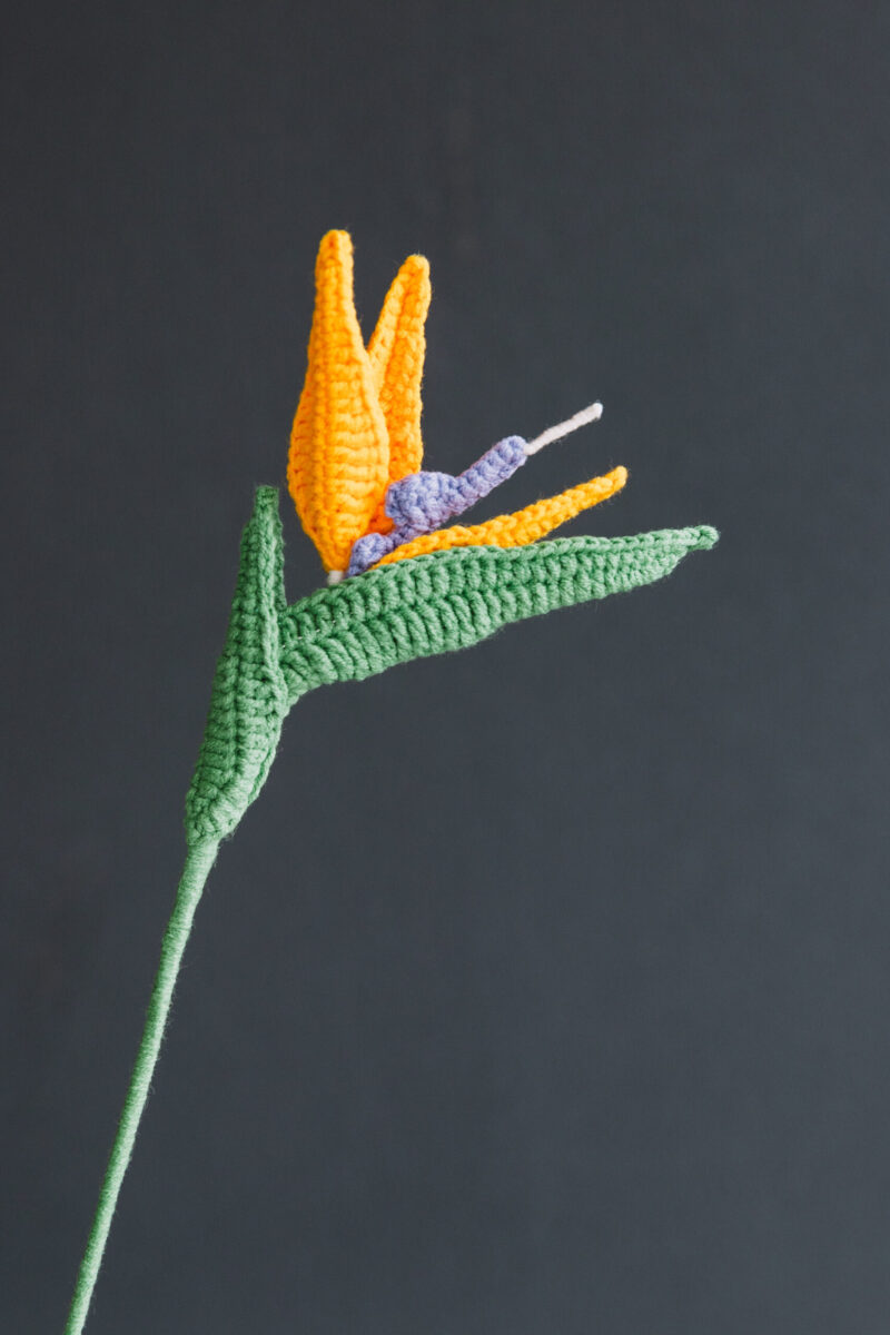 Crochet Bird of Paradise-HOOKOK Crochet Bird of Paradise-HOOKOK