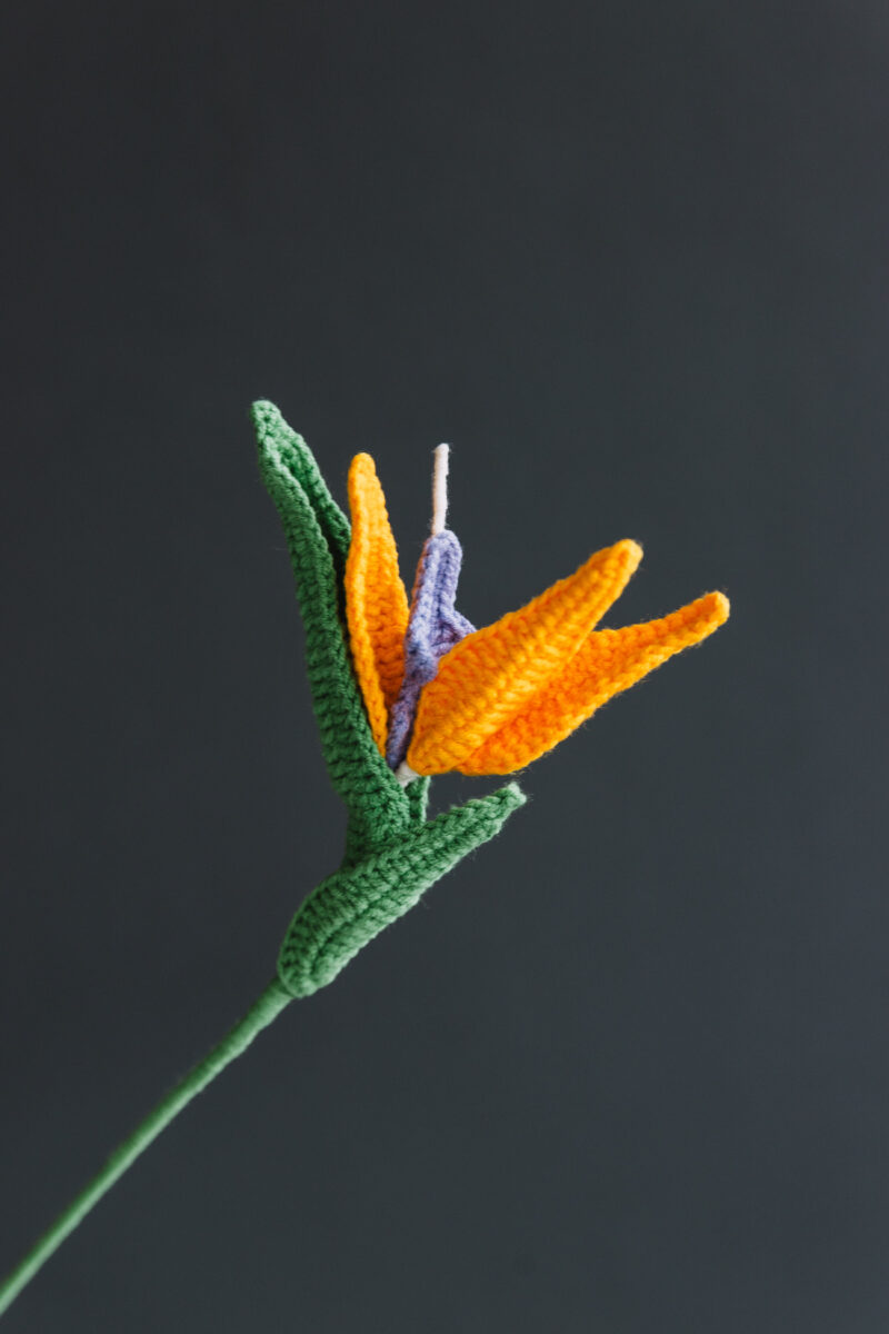 Crochet Bird of Paradise-HOOKOK Crochet Bird of Paradise-HOOKOK