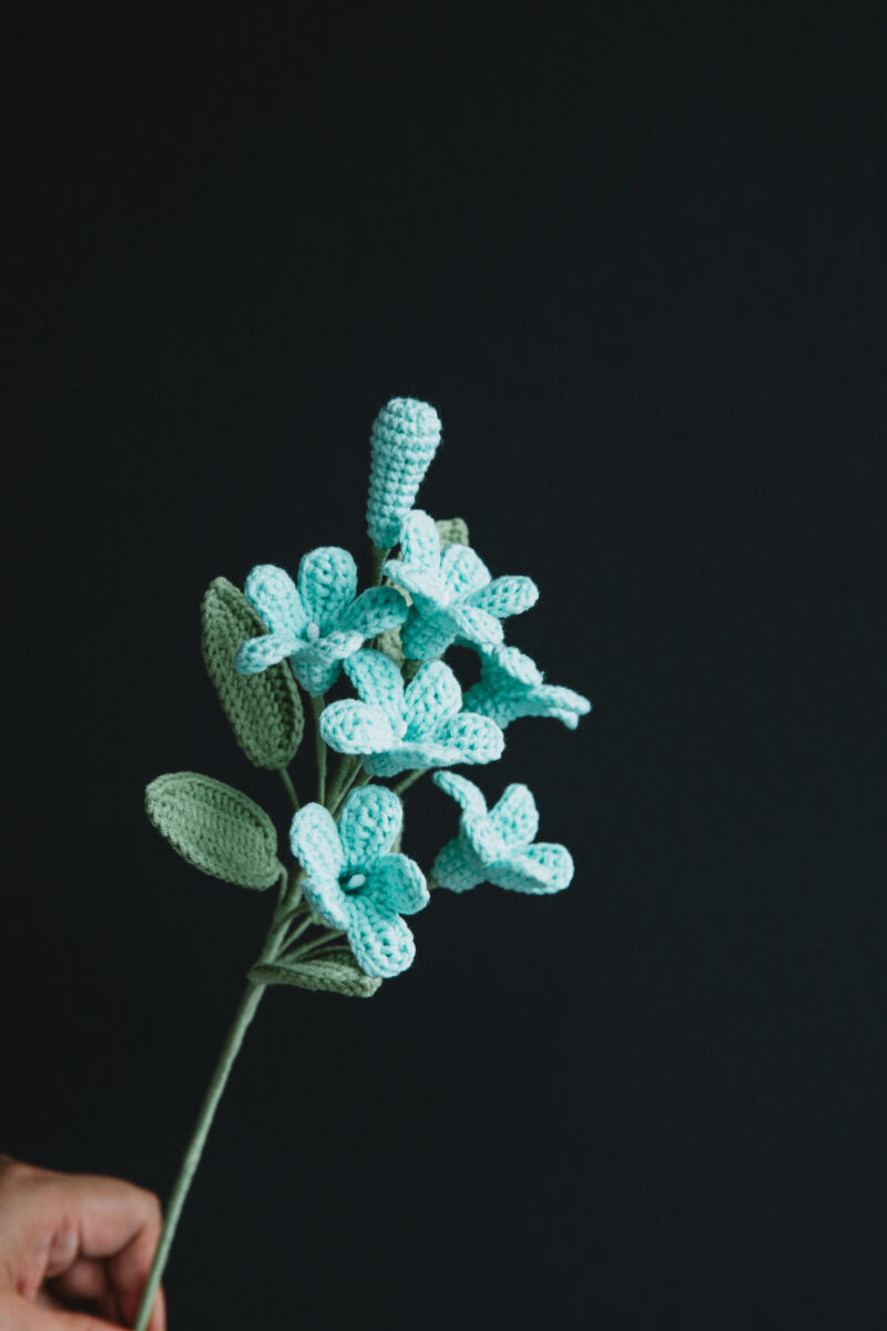 Crochet Murraya Paniculata (jasmine orange)-HOOKOK Crochet Murraya Paniculata (jasmine orange)-HOOKOK