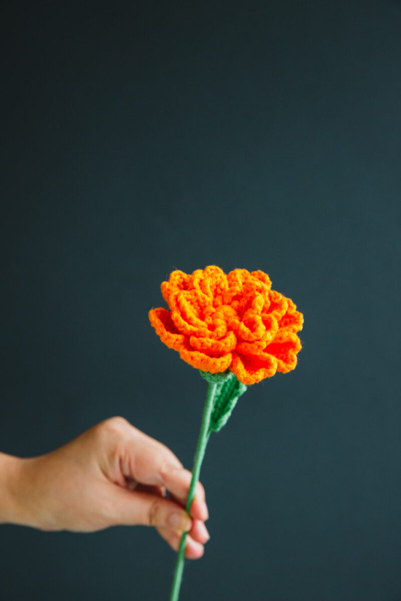 Crochet Marigold-hookok Crochet Marigold-hookok