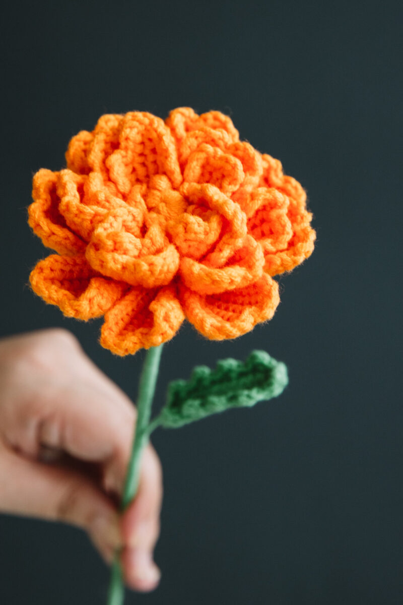 Crochet Marigold-hookok Crochet Marigold-hookok