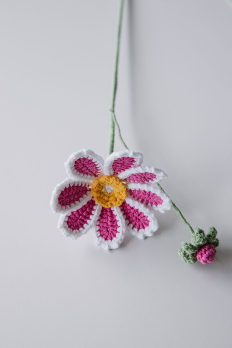 Bicolor Gesang Flower-hookok Bicolor Gesang Flower-hookok