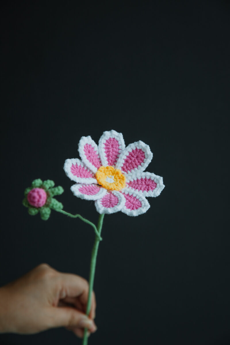 Bicolor Gesang Flower-hookok Bicolor Gesang Flower-hookok