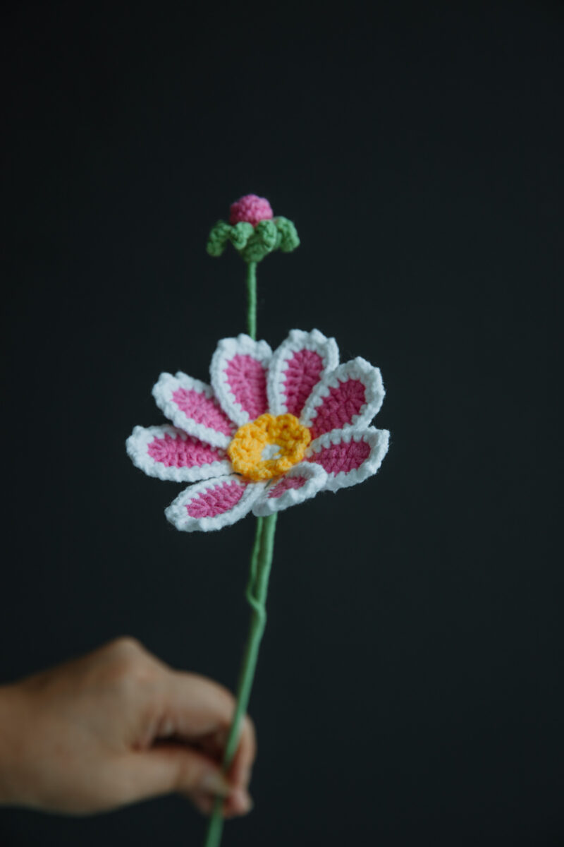 Bicolor Gesang Flower-hookok Bicolor Gesang Flower-hookok