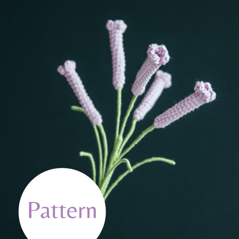 Cyrtanthus Mackenii-HOOKOK