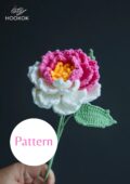 Crochet Gradient Peony-hookok