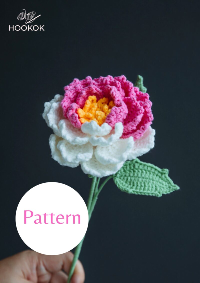 Crochet Gradient Peony-hookok