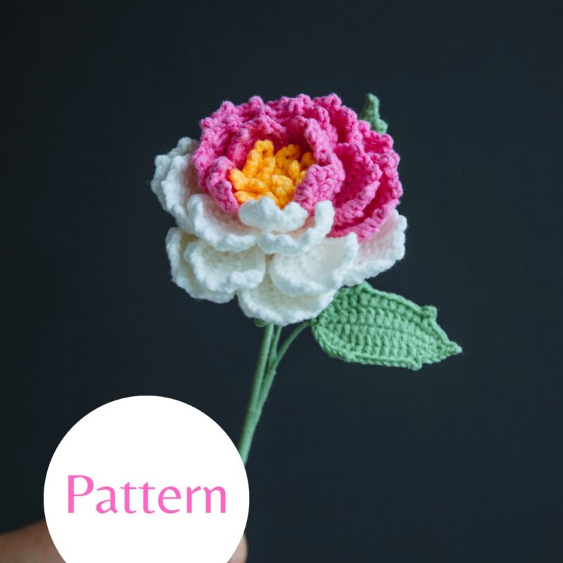 Gradient Peony-hookok