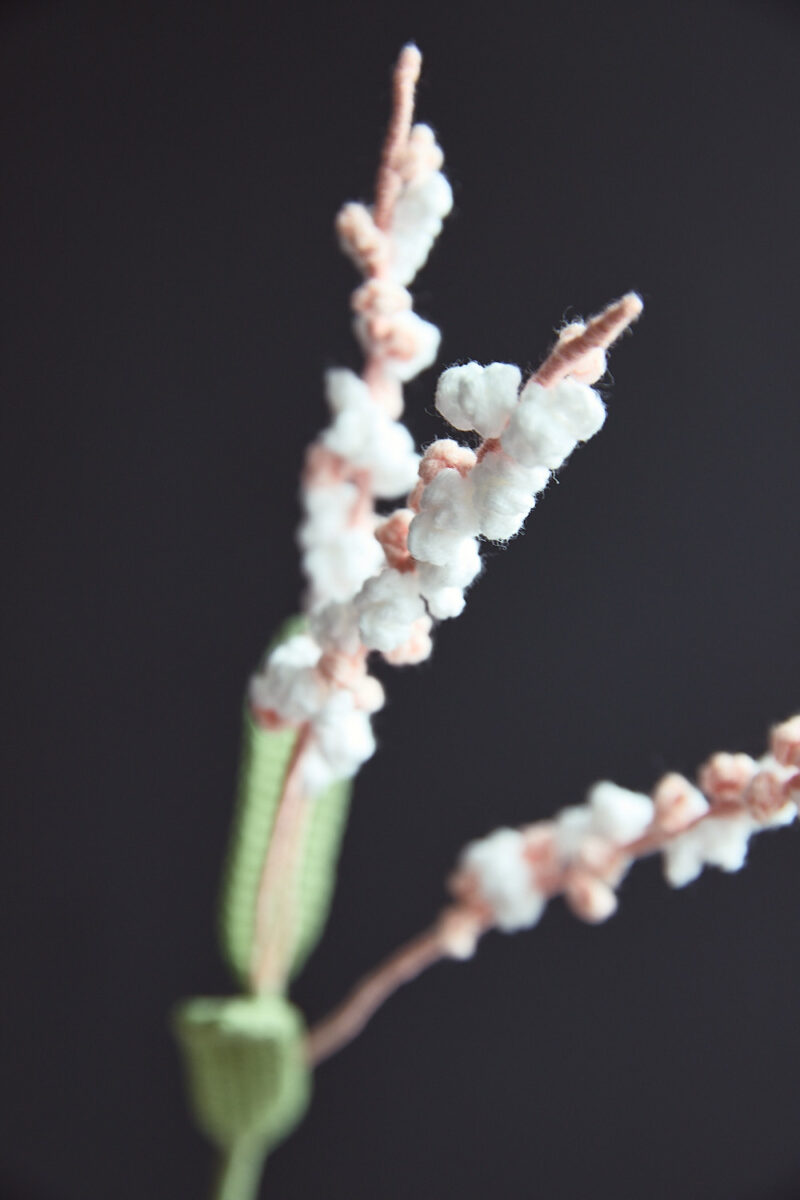 Water Pepper-hookok Water Pepper-hookok