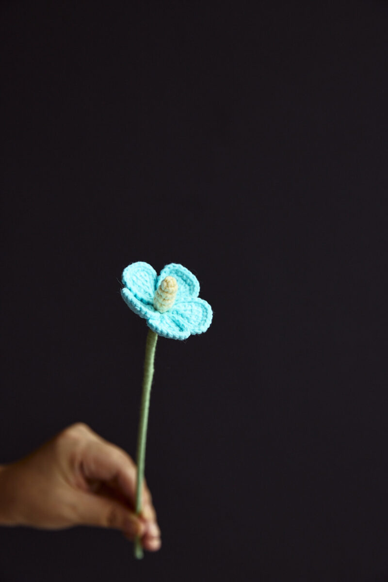 Violet Flower-hookok Violet Flower-hookok