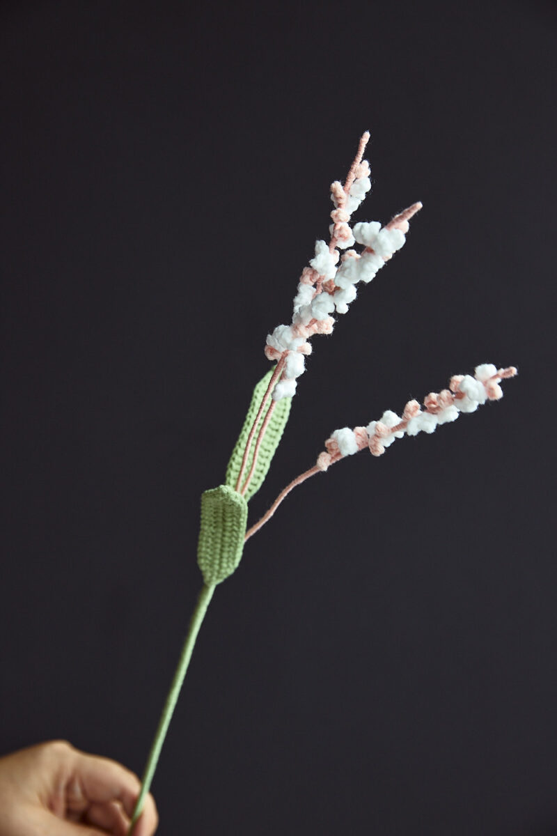 Water Pepper-hookok Water Pepper-hookok