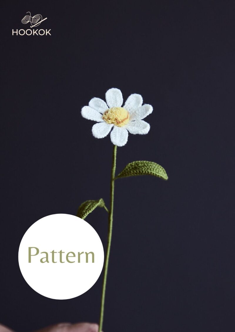 Wild Chamomile-HOOKOK