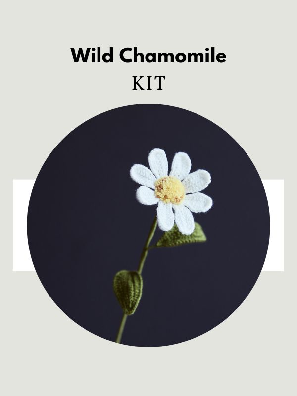 Wild Chamomile-HOOKOK