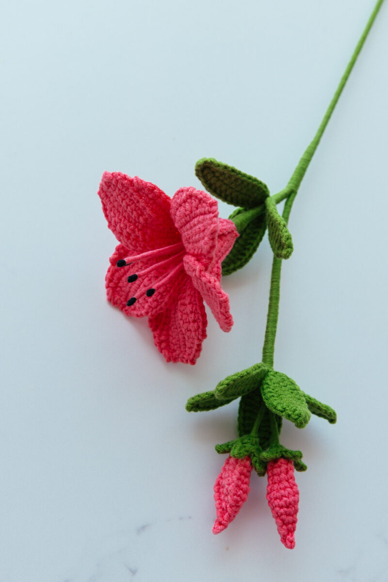 Crochet Azalea-hookok Crochet Azalea-hookok