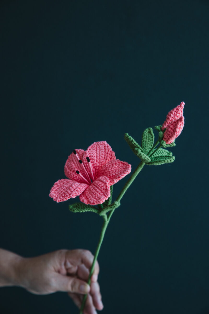 Crochet Azalea-hookok Crochet Azalea-hookok