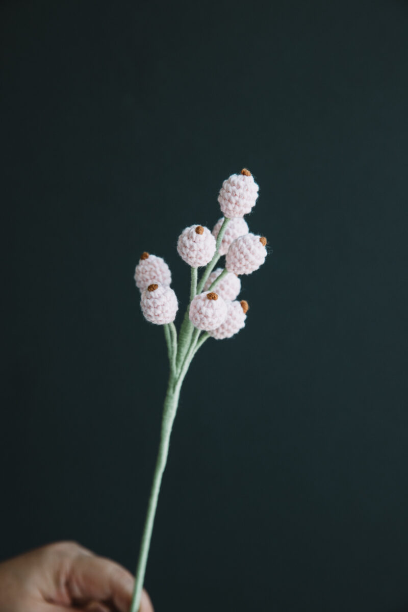 Crochet Snowberry-hookok Crochet Snowberry-hookok