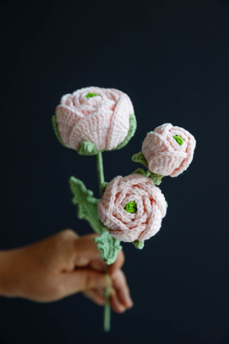 Persian Buttercup-hookok Persian Buttercup-hookok