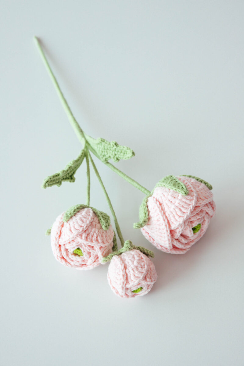 Persian Buttercup-hookok Persian Buttercup-hookok