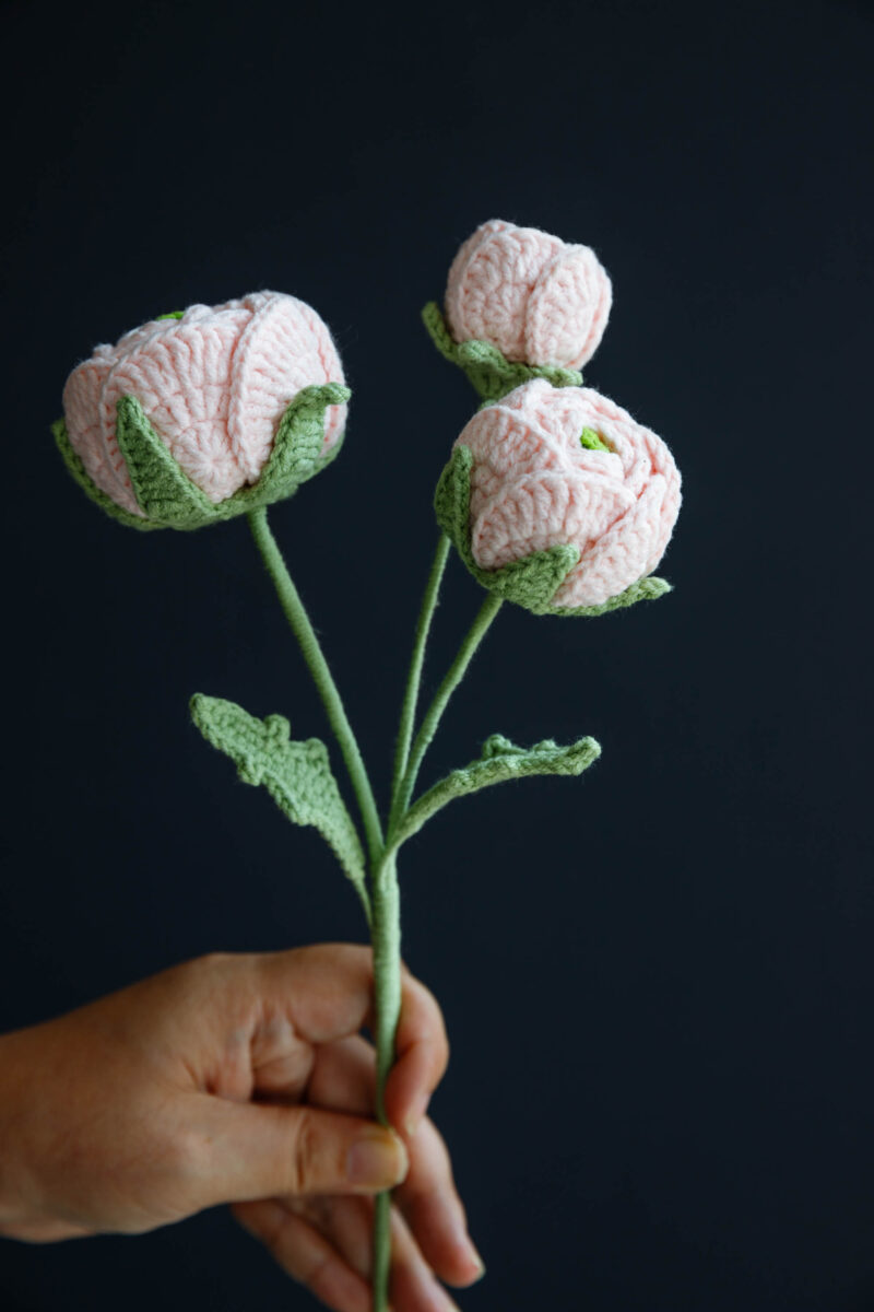 Persian Buttercup-hookok Persian Buttercup-hookok