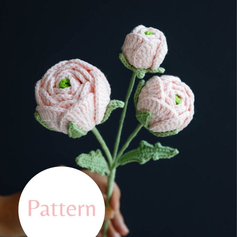 Persian Buttercup-hookok