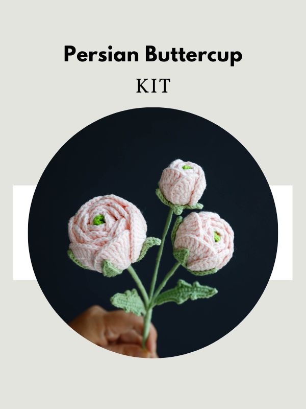 Persian Buttercup-hookok