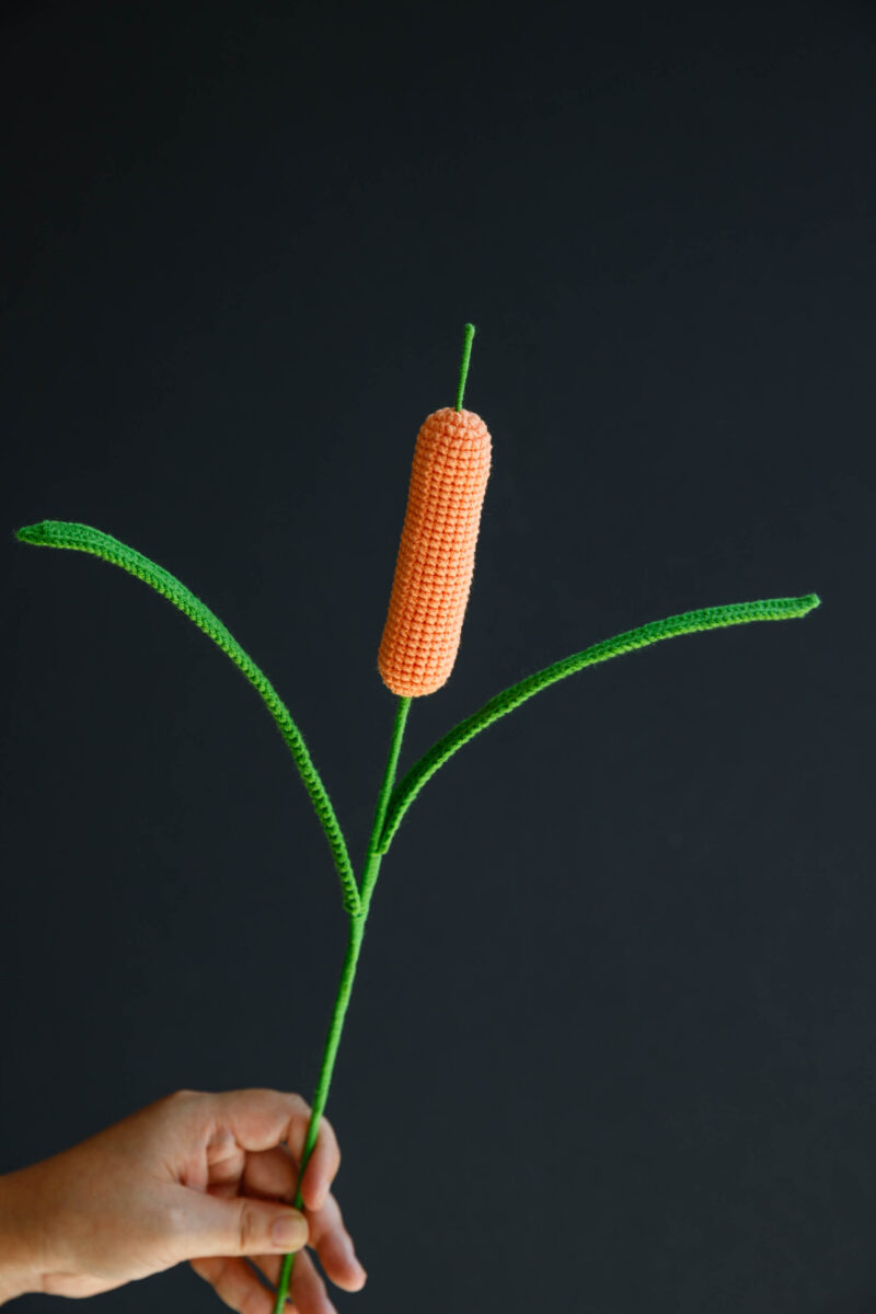 Crochet Cattail-hookok Crochet Cattail-hookok