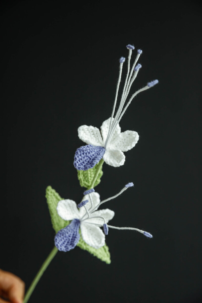 Butterfly Flower-hookok Butterfly Flower-hookok