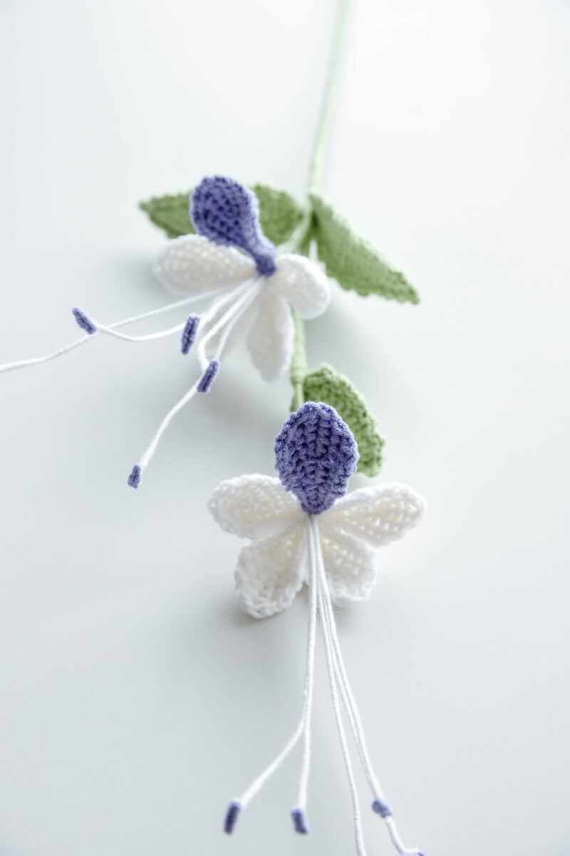 Butterfly Flower-hookok Butterfly Flower-hookok