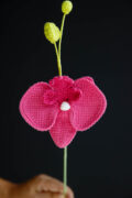 Crochet Phalaenopsis Orchid-HOOKOK