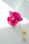 Crochet Phalaenopsis Orchid-HOOKOK