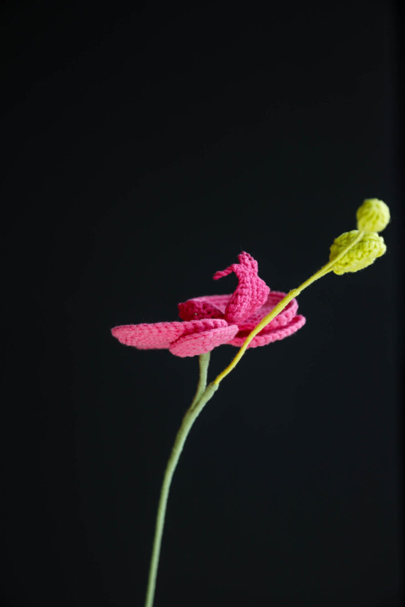 Crochet Phalaenopsis Orchid-HOOKOK Crochet Phalaenopsis Orchid-HOOKOK