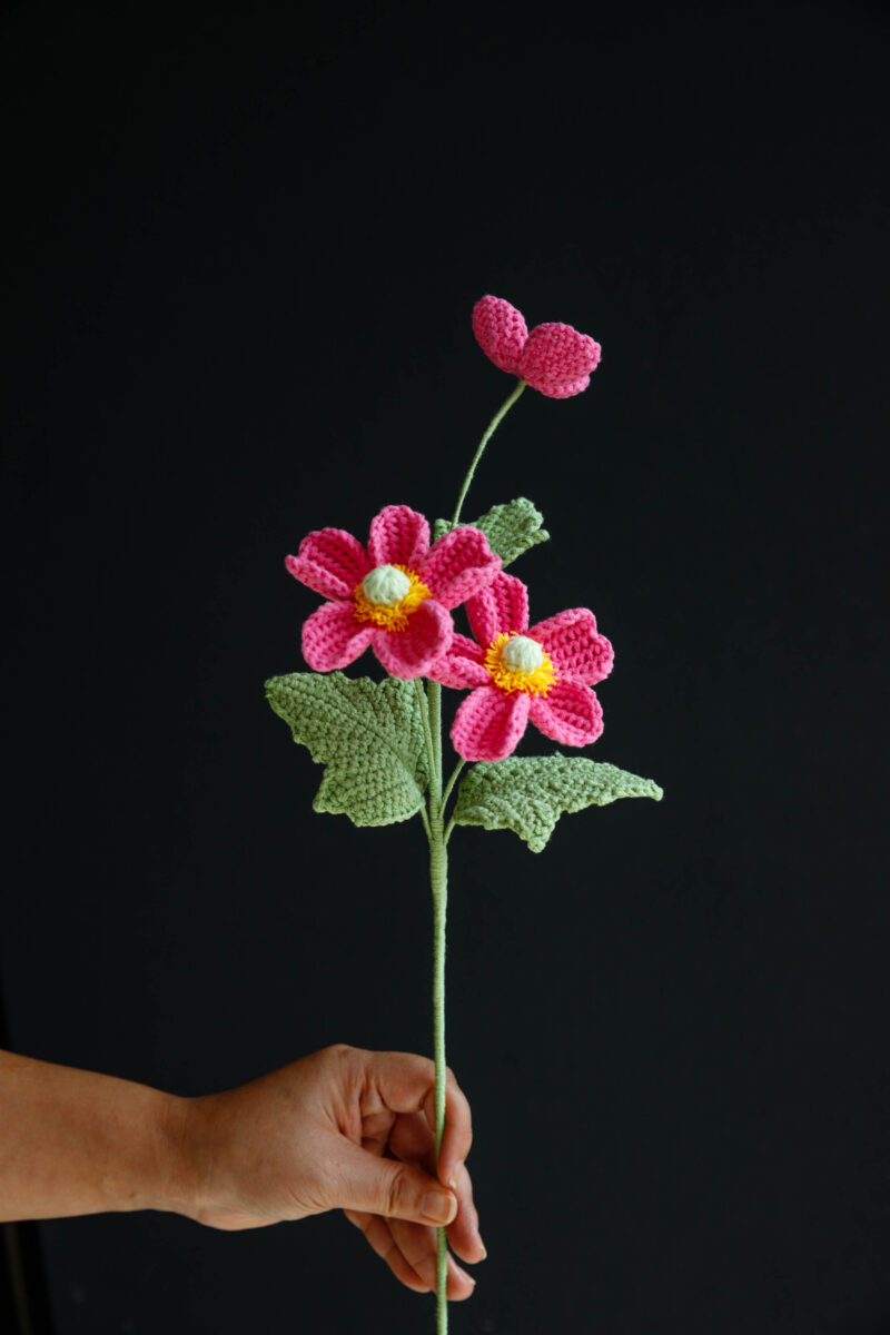 Crochet Wild Cotton Flower-hookok Crochet Wild Cotton Flower-hookok