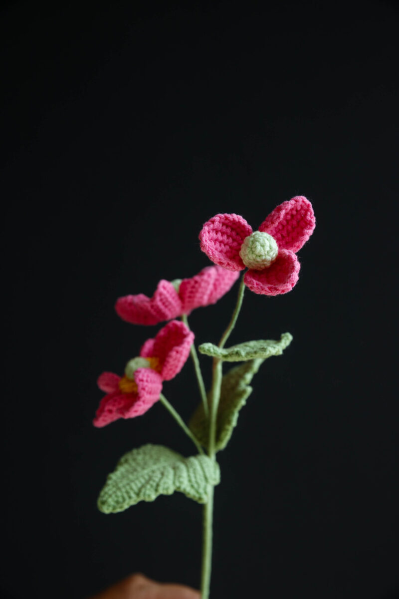 Crochet Wild Cotton Flower-hookok Crochet Wild Cotton Flower-hookok