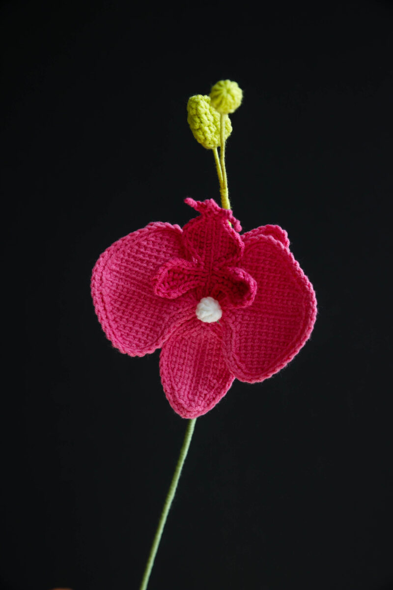 Crochet Phalaenopsis Orchid-HOOKOK Crochet Phalaenopsis Orchid-HOOKOK