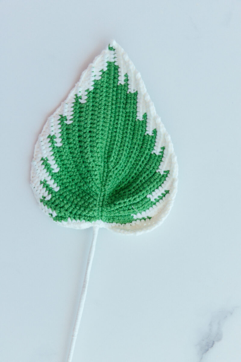 Hosta Leaf-hookok Hosta Leaf-hookok