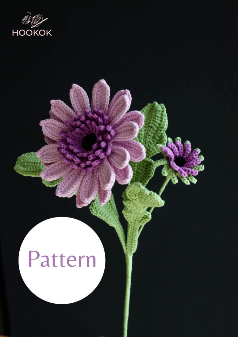 Barberton Daisy-HOOKOK