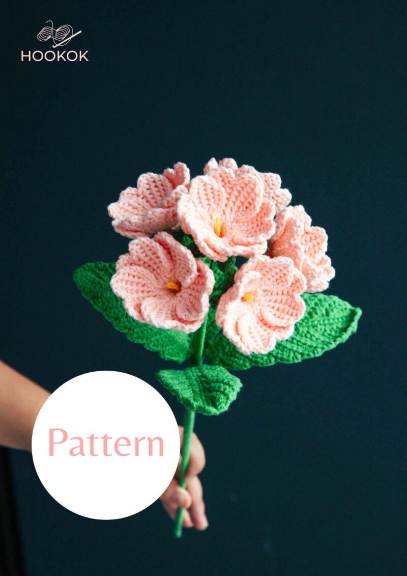 Primula Flower-hookok