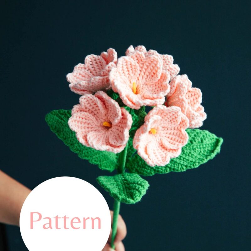 Primula Flower-hookok