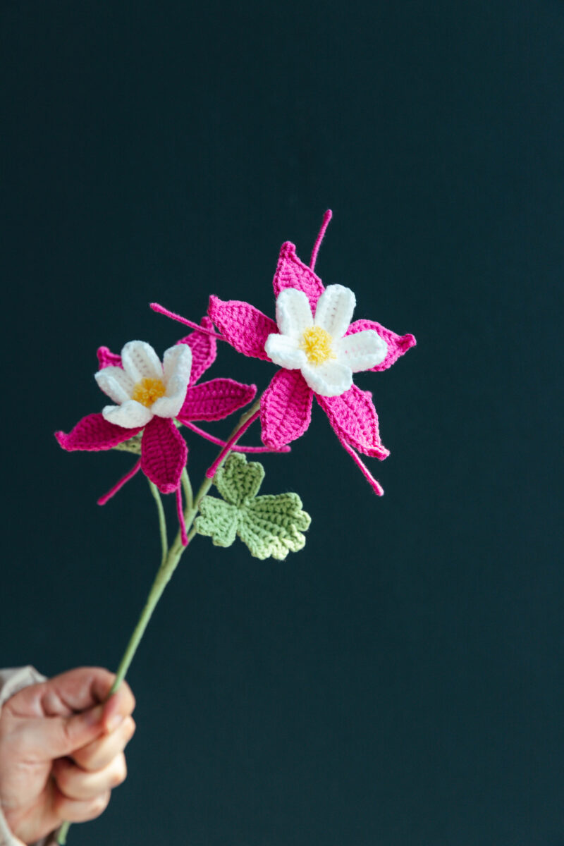 Columbine Flower-hookok Columbine Flower-hookok