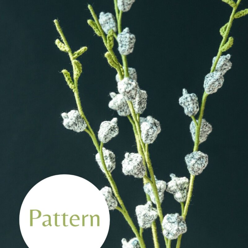 Eucalyptus Fruit-hookok