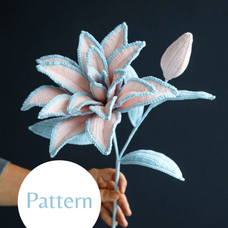 Roselily Aisha-HOOKOK