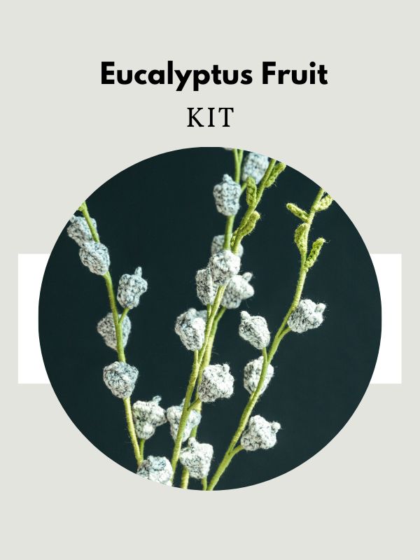 Eucalyptus Fruit-hookok