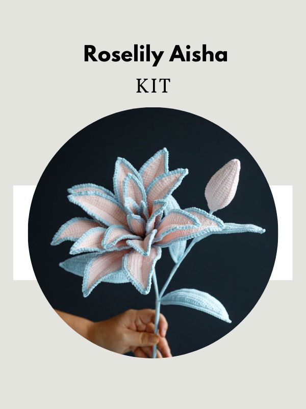 Roselily Aisha-HOOKOK
