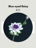 Blue-eyed Daisy-hookok