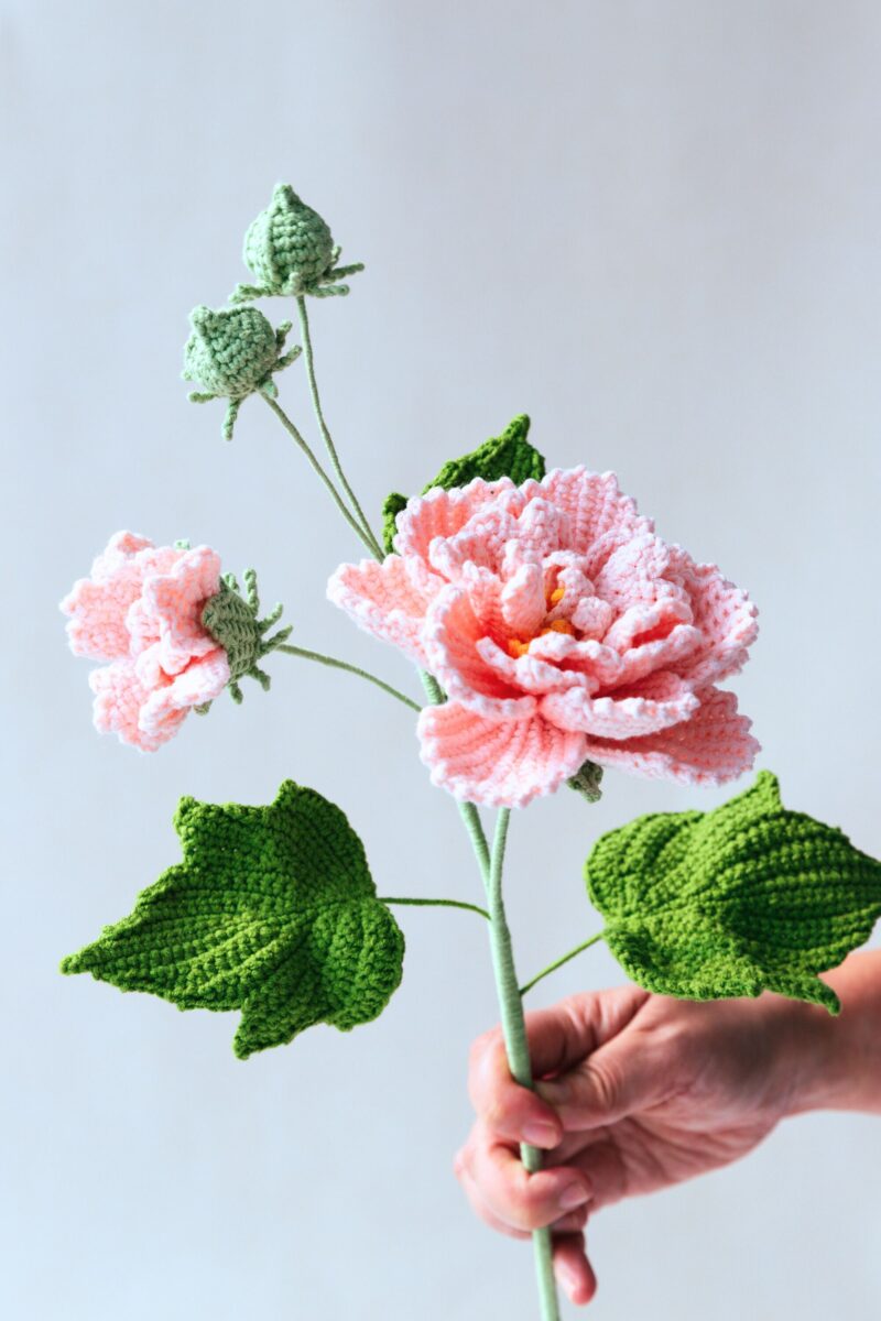 Hibiscus Mutabilis-HOOKOK Hibiscus Mutabilis-HOOKOK