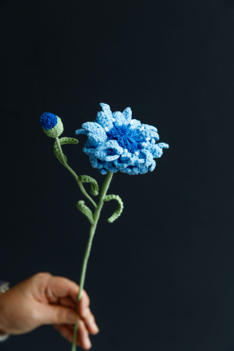 Cornflower-hookok Cornflower-hookok